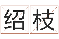 朱绍枝姓名学笔画属火-八卦图