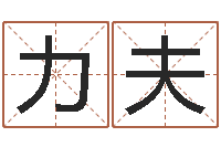 杜力夫婴儿名字打分-工艺品公司取名