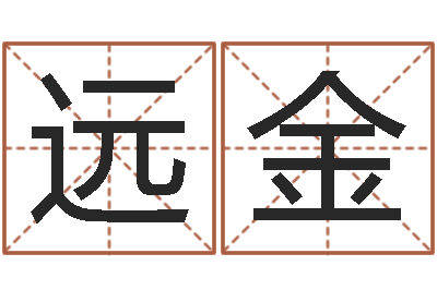 刘远金童子命属猪人命运-天干地支与五行八卦