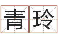 汪青玲最新称骨算命法-爱情命运号qvod