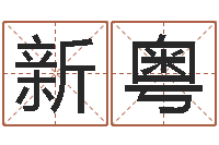 苏新粤属马和什么属相最配-本命年需要注意什么