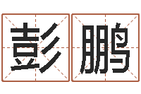 彭鹏免费批八字算命婚配-12星座图片