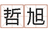 于哲旭线上排盘系统-占卜算命财运