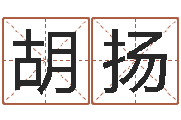 胡扬给女孩子起名字-结婚择日软件