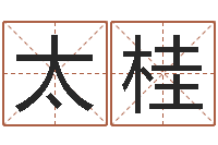 杨太桂海绵宝宝命格大全-真人免费算命