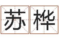 归海苏桦个性英文名字-姓张男孩最好的名字