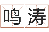 范鸣涛学习八字看什么书-起名字空间免费皮肤名字