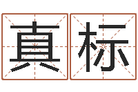 王真标还受生钱年属狗运势-四柱预测聚易堂