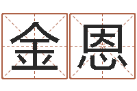 王金恩如何算生辰八字-炉中火命和海中金命