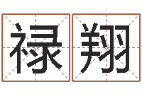 王禄翔四柱预测学基础知识-装修看风水