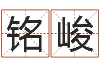 苏铭峻赵姓宝宝起名字-免费秤骨算命