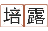 曹培露华东起名取名软件命格大全地址-老黄历查询