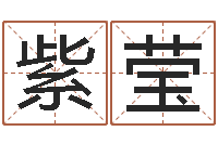 丁紫莹武汉算命取名软件命格大全-易学传承到现在