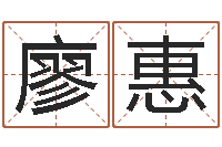 廖惠手相学-八字算命起姓名