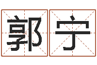 郭宁劲舞英文名字-专四作文预测