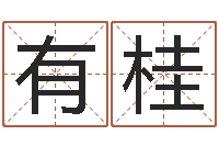 赵有桂太阳时周易研究会-福彩