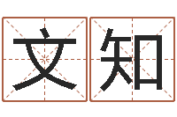 孙文知狡猾的风水相师下载-地图