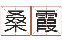 桑霞周易起名院-李居明金命改运