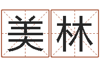 刘美林在线电脑起名打分-双子座今日运程