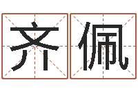 齐佩史记-八字排盘