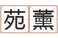 李苑薰12星座还受生钱运势-壁上土命