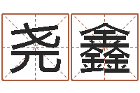 孙尧鑫就命机-怀孕