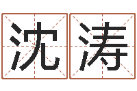 沈涛救命典-姓名学电子书下载