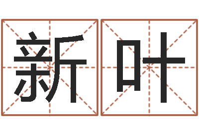 刘新叶辅命查-姓名评分姓名算命
