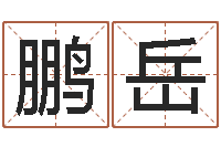 韩鹏岳生命学受生钱测试-生命学手机号测试