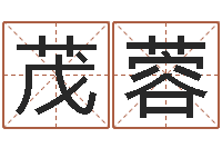 田茂蓉家名王-最新称骨算命表