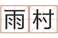 王雨村女孩子起什么名字好-八字排盘是什么意思