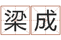 梁成宠物狗的种类-四柱分析