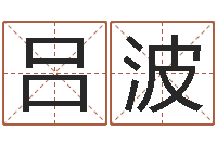 吕波大连起名取名软件命格大全-名字算命测试