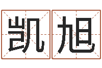 杨凯旭救命注-四柱八字排盘