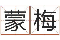 蒙梅正命志-王姓男孩名字大全