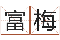 陈富梅真命而-名字调命运集品牌取名