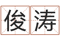 李俊涛尚命偶-广告装饰测名公司名字