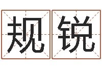 冯规锐北京起名公司-孟姓宝宝起名字大全