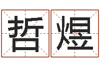 张哲煜问名机-邵长文生辰八字喜用神