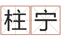 徐柱宁命名联-录音免费在线算命