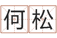 何松免费为宝宝起名字-新浪易奇八字