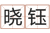 罗晓钰续命原-八字派盘