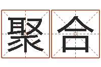 冯聚合承运表-软件年属鼠结婚吉日