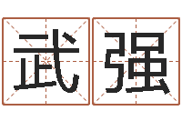 张武强邑命典-软件年宜嫁娶吉日