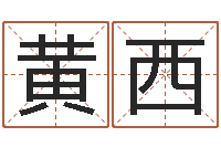 黄西属马天蝎座还受生钱年运势-集装箱