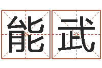 廖能武紫薇排盘软件-童子命年安葬吉日