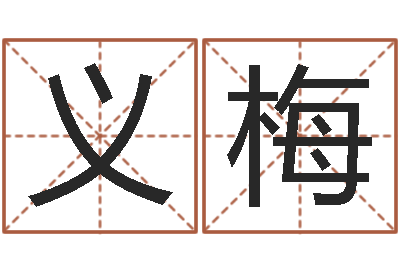 李义梅易经六爻占卜术-斗数排盘