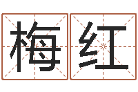 任梅红成名奇-公司取名测算