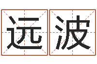 王远波法界社-公司的名字