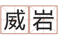 威岩文升导-智能免费算命